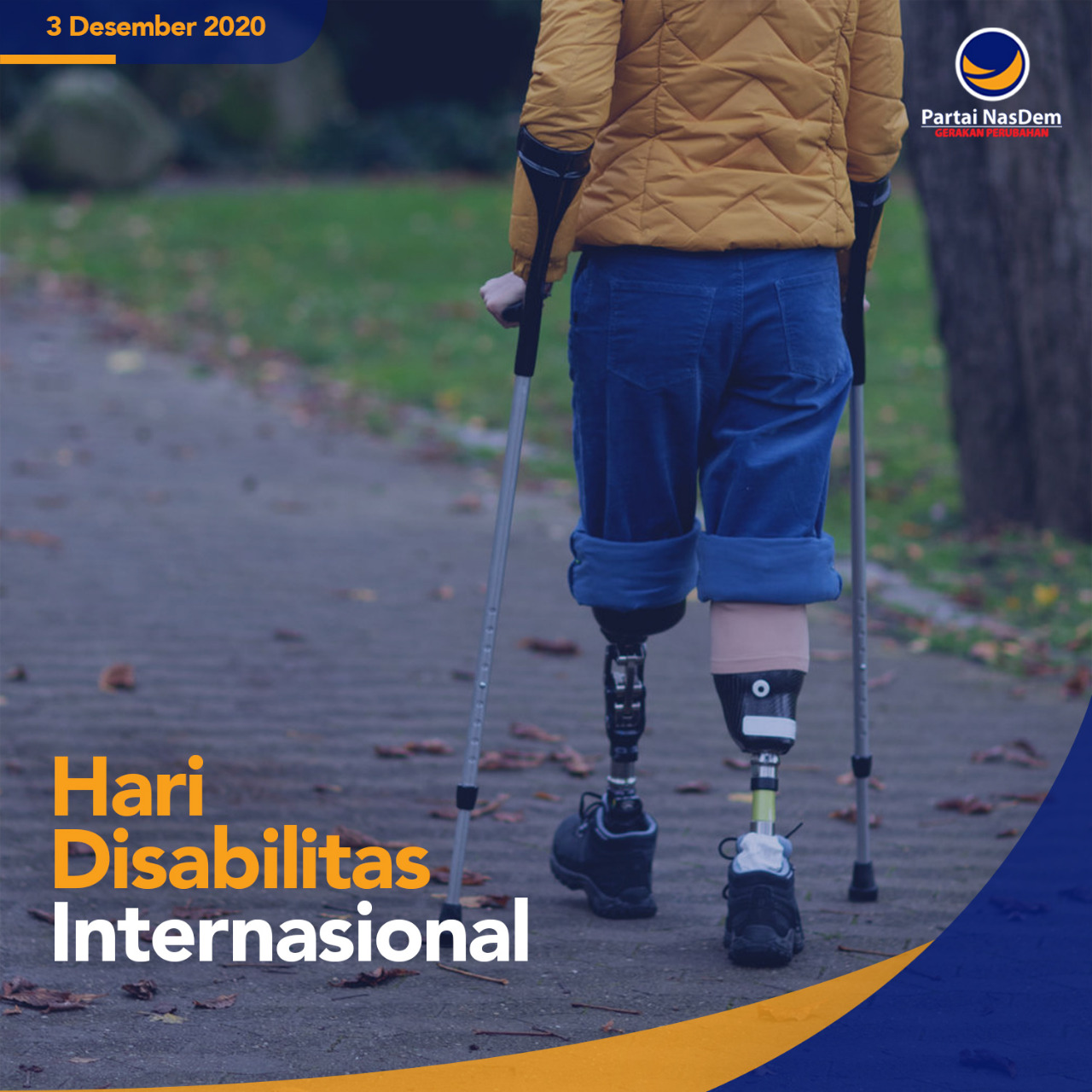 Hari Disabilitas International